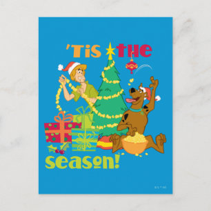 Tis' The Season Postcard
