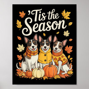 Tis The Season Rat Terrier Fall Autumn Pumpkin Dog Poster
