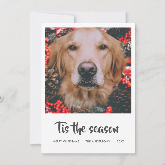 Tis The Season Script Christmas Photo | Pet Dog Holiday Card (Front)