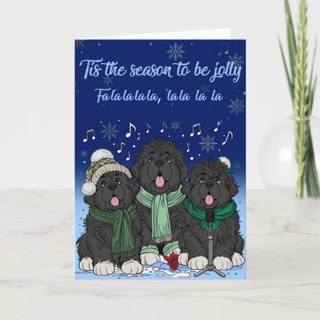 Tis the Season to be jolly, Newfoundlands caroling Holiday Card (Front)