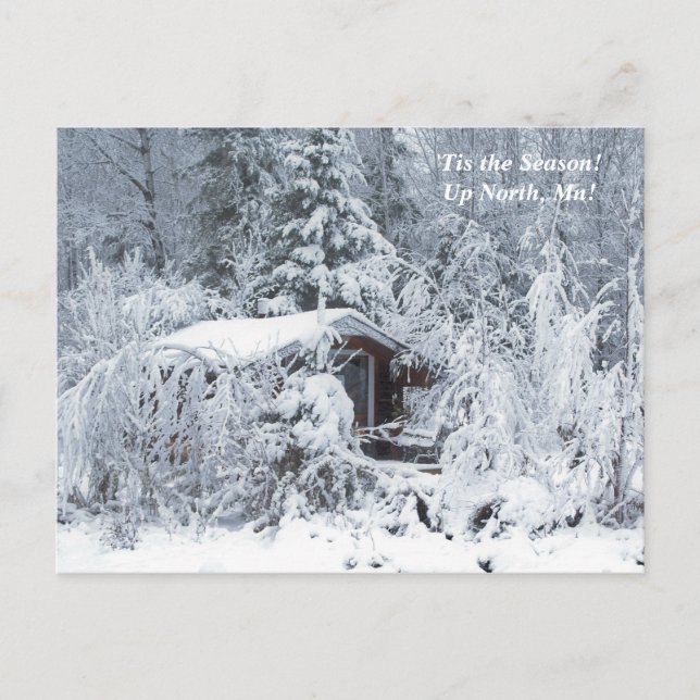 'Tis the Season  Up North, Mn Winter Holiday Postcard (Front)