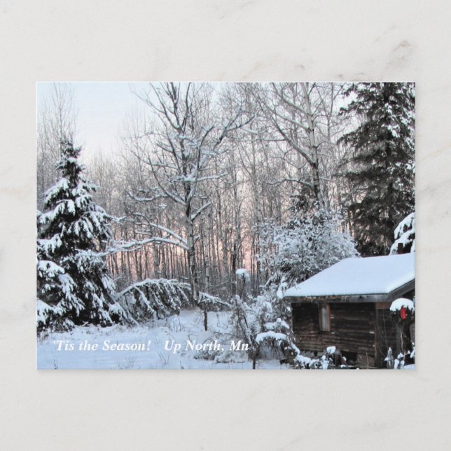 'Tis the Season  Up North, Mn Winter Holiday Postcard (Front)