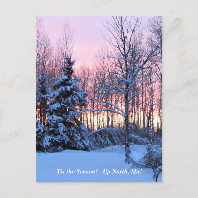 'Tis the Season  Up North, Mn Winter Holiday Postcard (Front)