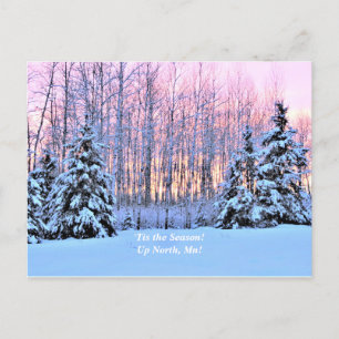 'Tis the Season Up North, Mn Winter Holiday Postcard