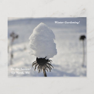 'Tis the Season Winter Garden Up North Holiday Postcard