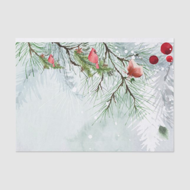 Tissue paper  (Front)