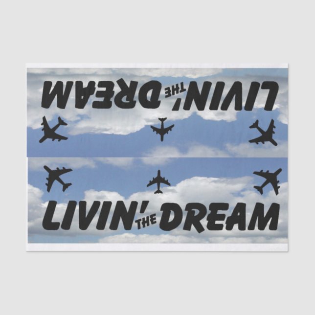 Tissue paper aeroplane (Front)