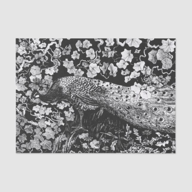 Tissue Paper BLACK AND WHITE PEACOCK (Front)