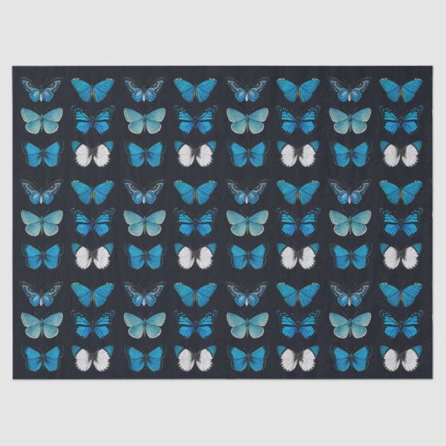 TISSUE PAPER : BLUE BUTTERFLY CHART ON BLACK (Front)
