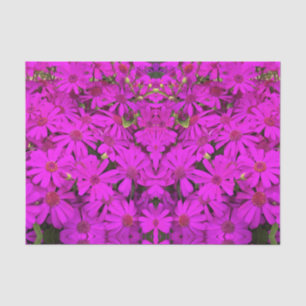 Tissue Paper Bright Pink/Purple Daisies