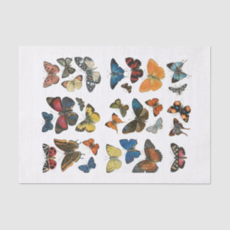 Tissue Paper butterfly decoupage