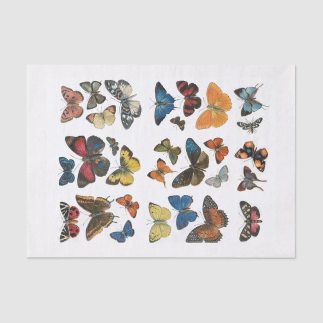 Tissue Paper butterfly decoupage (Front)