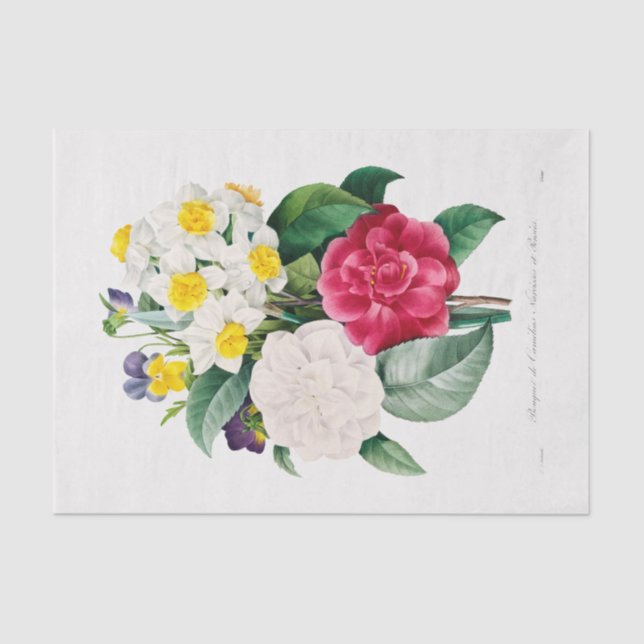 TISSUE PAPER : CAMELLIA NARCISSUS & PANSY  (Front)