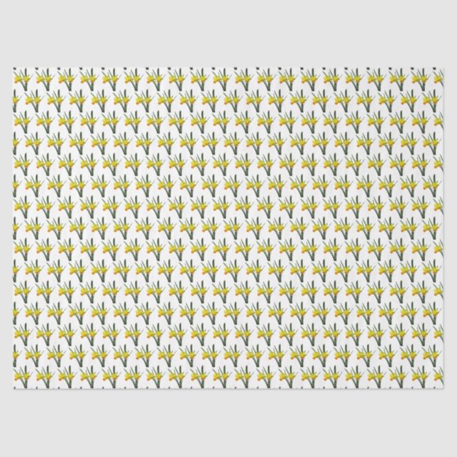 Tissue Paper - Field of Daffodils (Front)