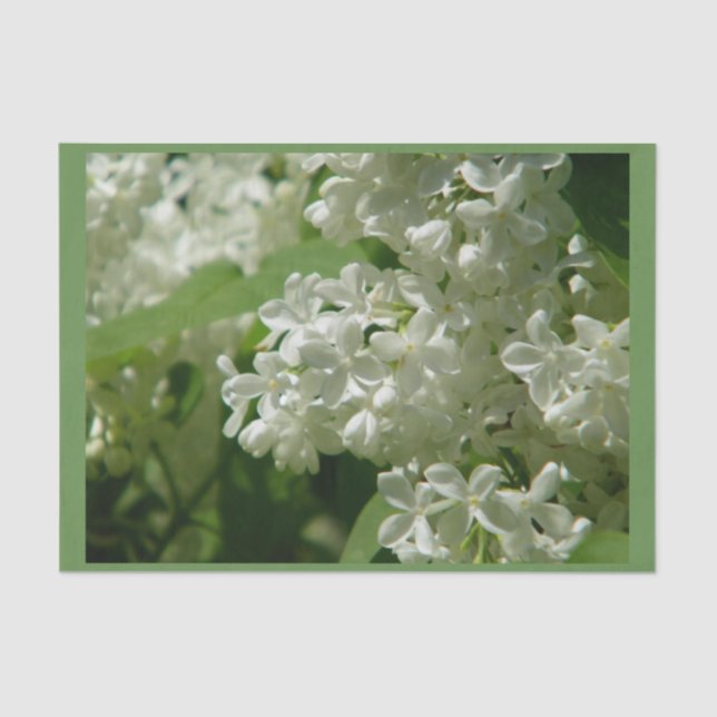 Tissue paper for you special gift (Front)