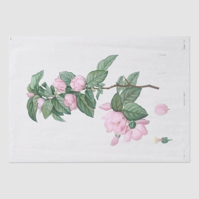 TISSUE PAPER : J.J. ROUSSEAU : PALE PINK FLOWER (Front)