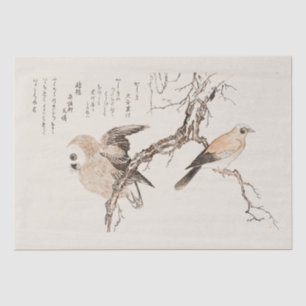TISSUE PAPER : JAPANESE  : UTAMARO KITIGAWA 1806