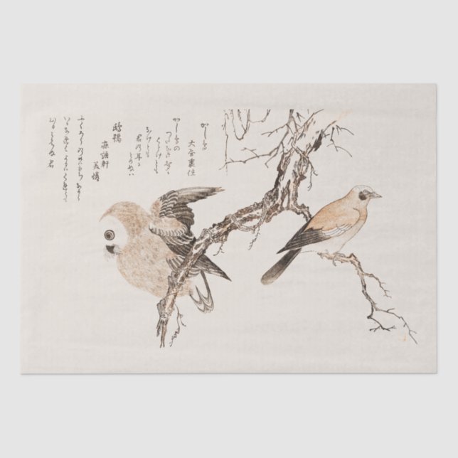 TISSUE PAPER : JAPANESE  : UTAMARO KITIGAWA 1806 (Front)