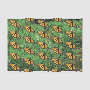 Tissue Paper Monarchs on Pine Boughs