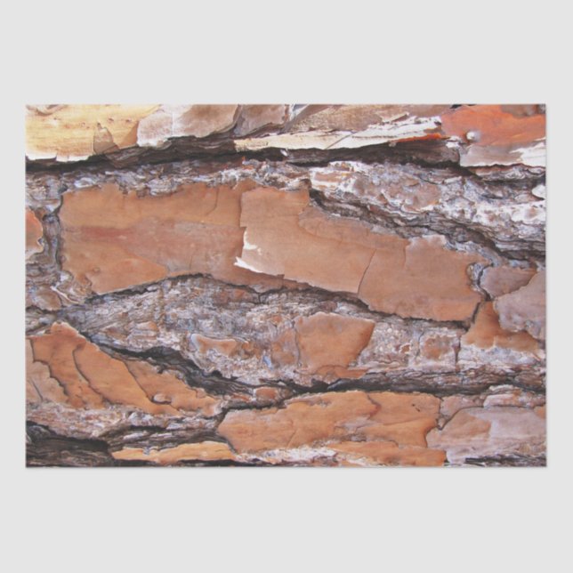 Tissue Paper- Pine Bark Tissue Paper (Front)