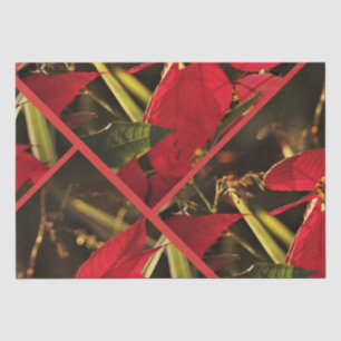 Tissue Paper Poinsettia Christmas Holiday