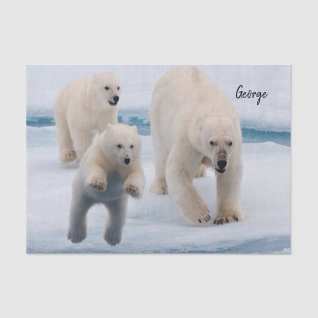 Tissue Paper Polar Bear (Front)