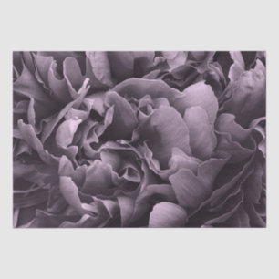Tissue Paper Set 2 Purple Peony Petals