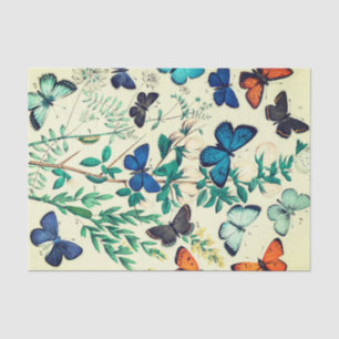 Tissue Paper Vintage Butterfly Design