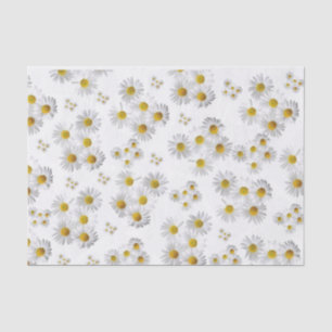 Tissue Paper White Daisy