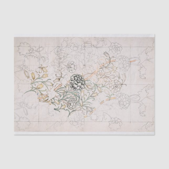 TISSUE PAPER : WILLIAM MORRIS : WILD TULIP (Front)