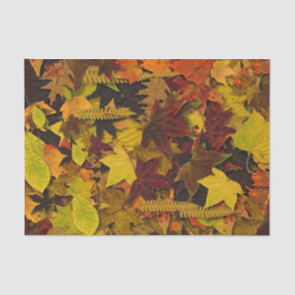 Tissue Wrapping Paper - Autumn Leaves