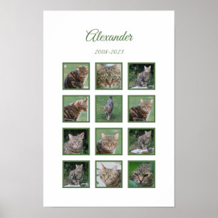 Title: Customisable Pet Memorial Poster