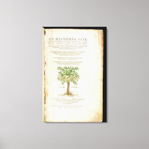 Title page from 'De Historia Stirpium Commentarii Canvas Print