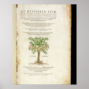 Title page from 'De Historia Stirpium Commentarii Poster