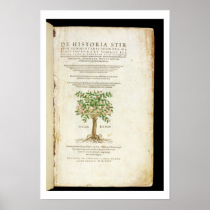 Title page from 'De Historia Stirpium Commentarii Poster