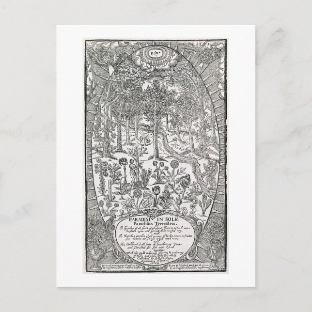 Title page from 'Paradisi Sole; Paradisus Terrestr Postcard (Front)