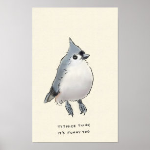titmice trivia poster