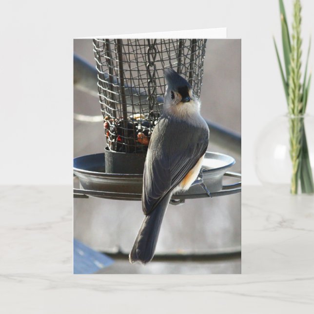 Titmouse Card (Front)