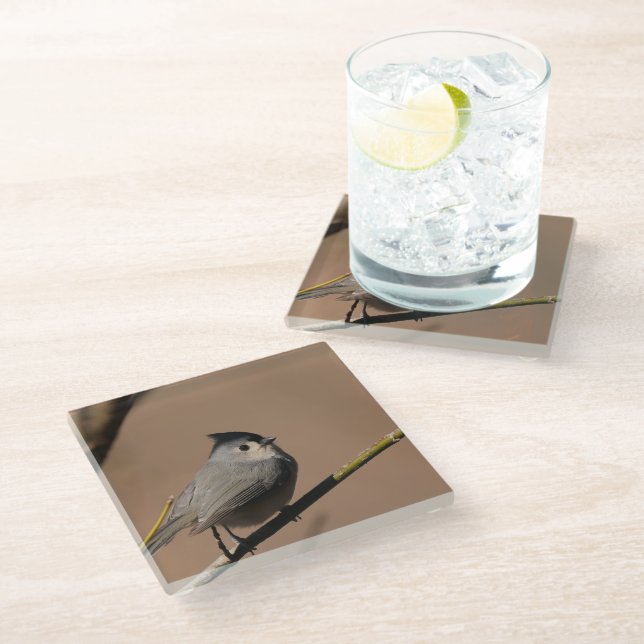 Titmouse_Coaster Glass Coaster (Angled)