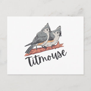 Titmouse Tufted Titmice Cute Bird Gift Postcard
