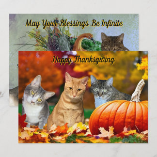 Tito, Taz, and Annie's 2025 Thanksgiving Flat Card