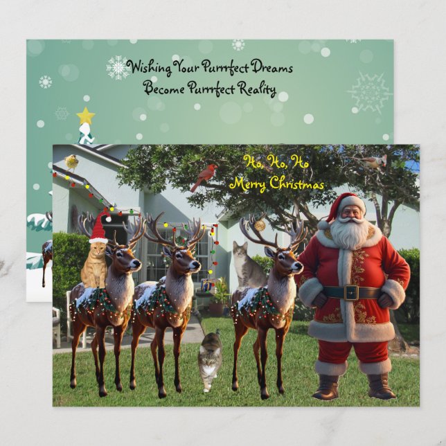 Tito's Dream - 2025 Christmas Card (Front/Back)