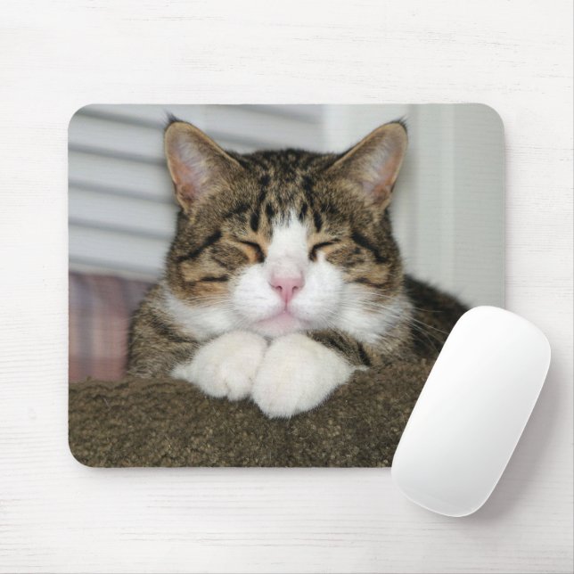 TJ MOUSE MAT (With Mouse)
