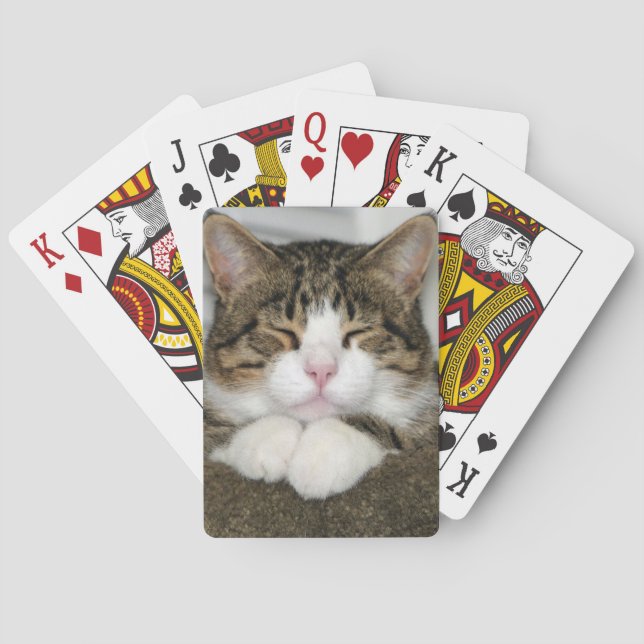 TJ PLAYING CARDS (Back)