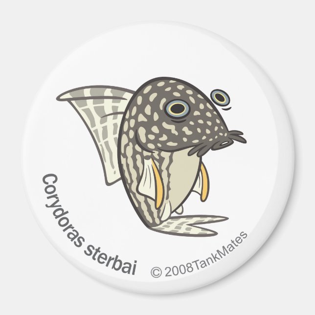 TM-08-Corydoras sterbai Magnet (Front)