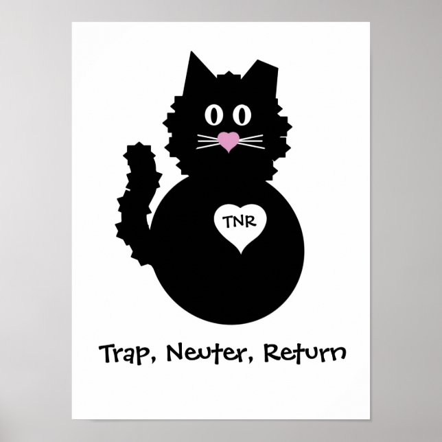 TNR - Fuzzy Kitty Poster (Front)