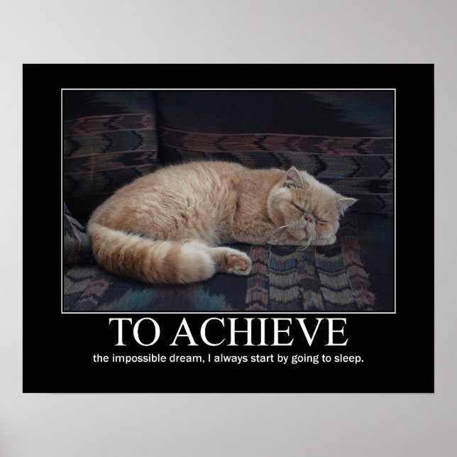 To  Achieve the Impossible Dream Cat Artwork Poster (Front)