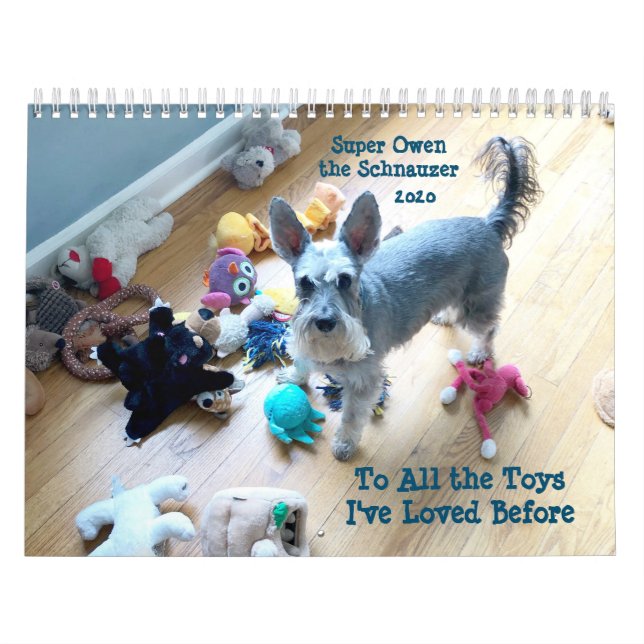 To All the Toys I've Loved Before Calendar (Cover)