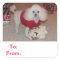 To and From Gift Tag Poodle Sticker