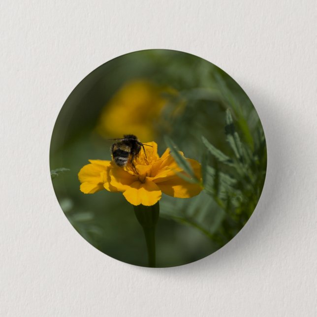 To bee or not to be 6 cm round badge (Front)